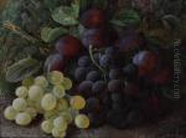 Still Life Study Grapes And Plums On A Mossy Bank Oil Painting by Vincent Clare