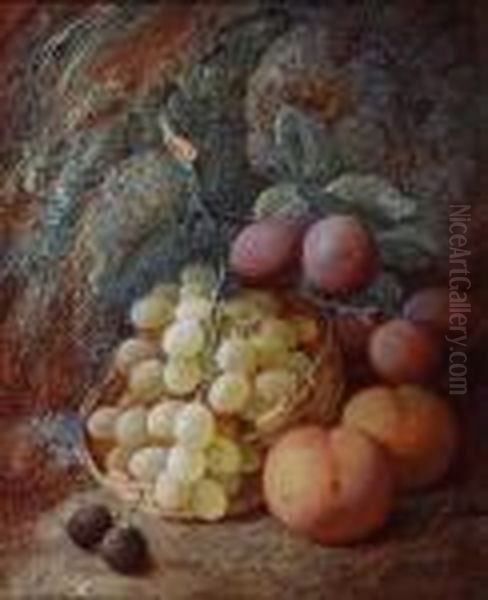 Green Grapes In A Basket, Plums, Peaches Andblack Grapes Against A Mossy Bank Oil Painting by Vincent Clare