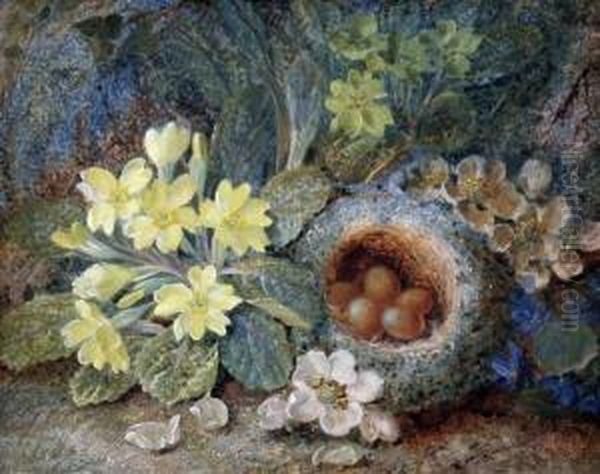 Still Life Of A Primrose, Birds Nest And Apple Blossom Oil Painting by Vincent Clare