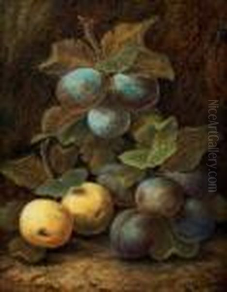 Still Life With Apples And Plums Oil Painting by Vincent Clare