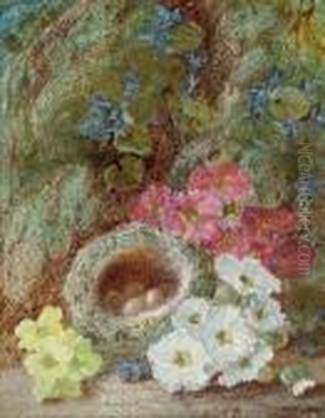 Primroses And A Bird's Nest On A Mossy Bank Oil Painting by Vincent Clare