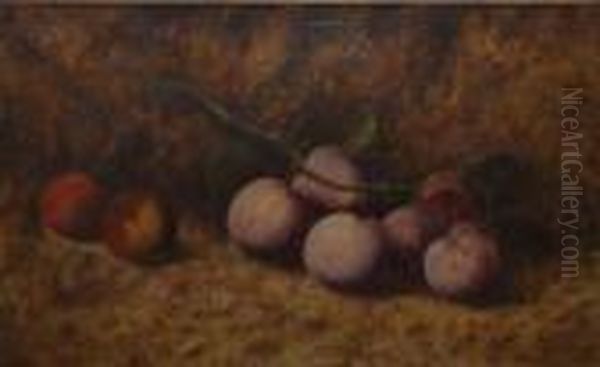 Still Life Study Of Plums On A Mossy Bank Oil Painting by Vincent Clare