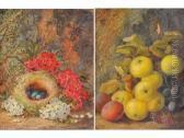 Natura Morta Di Frutta - Natura Morta Di Fiori Con Nido Oil Painting by Vincent Clare