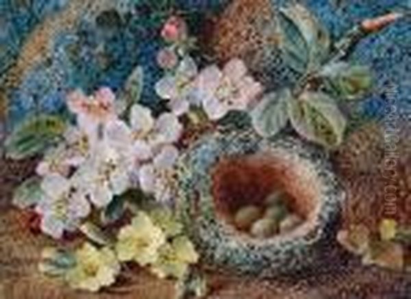 Wild Flowers By A Bird's Nest; Primroses And Other Wild Flowers On A Mossy Bank, A Pair Oil Painting by Vincent Clare