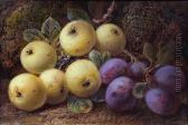 Apples And Plums Against A Mossy Bank Oil Painting by Vincent Clare