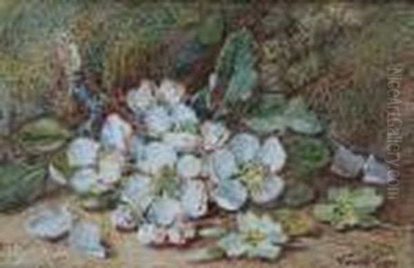 Primroses And Blossom Oil Painting by Vincent Clare