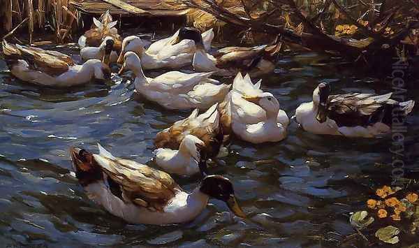 Ducks in the Reeds under the Boughs Oil Painting by Alexander Max Koester