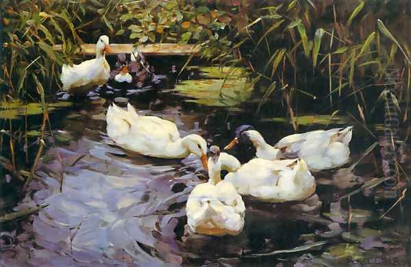 Enten auf einem Schilfteich Oil Painting by Alexander Max Koester