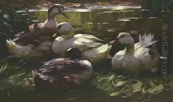 Vier Enten Am Wasser Oil Painting by Alexander Max Koester