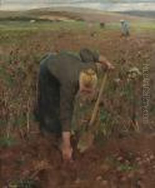 In The Fields, Dannes Pas De Calais (gathering Potatoes) Oil Painting by George Clausen