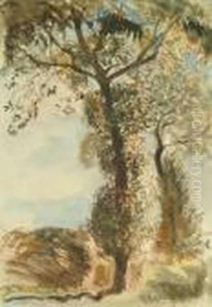 Tree Study Oil Painting by George Clausen