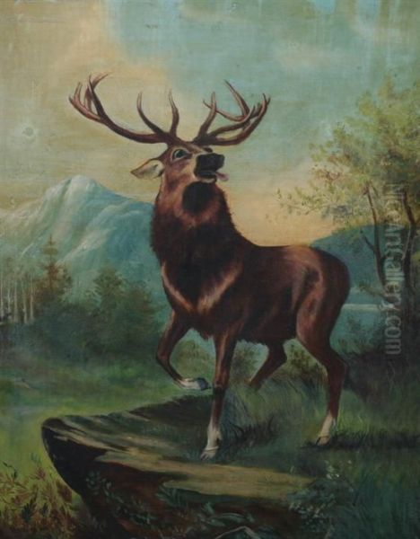 Stag In The Highlands Oil Painting by Robert Cleminson