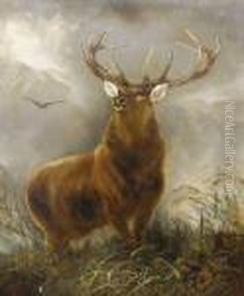 The Stag Oil Painting by Robert Cleminson