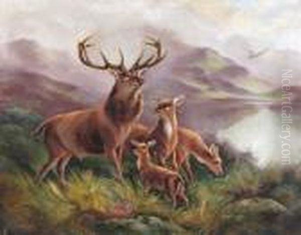 Stag And Deer By A Lake In The Highlands Oil Painting by Robert Cleminson