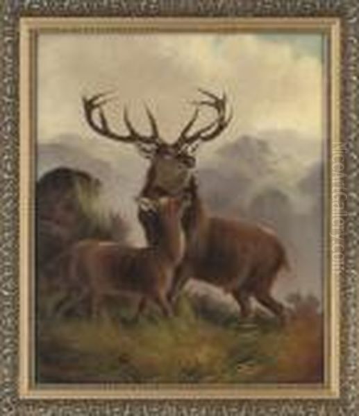 Deer In The Highlands Oil Painting by Robert Cleminson