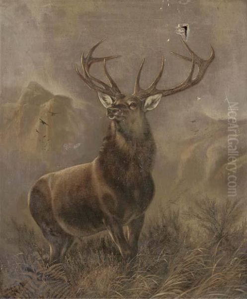 Monarch Of The Glen Oil Painting by Robert Cleminson