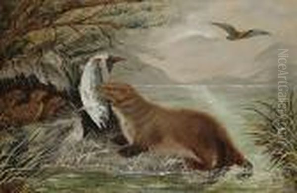 An Otter Bringing Food To Its Young Oil Painting by Robert Cleminson