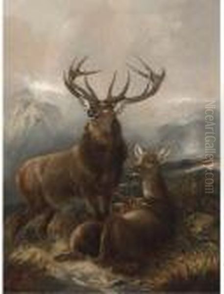 A Stag With Hinds Oil Painting by Robert Cleminson