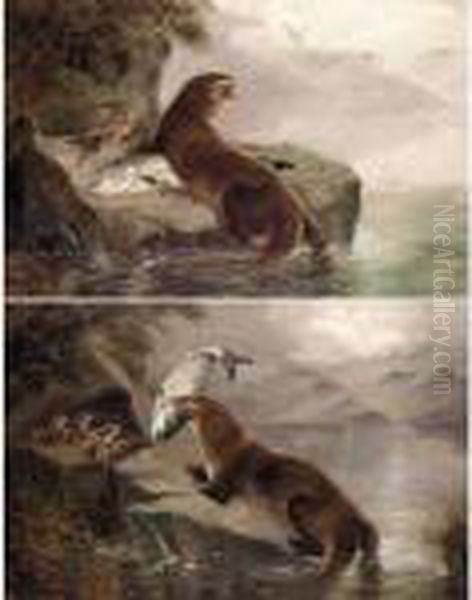 An Otter Bringing A Salmon To Its Young; An Otter Guarding Its Young Oil Painting by Robert Cleminson