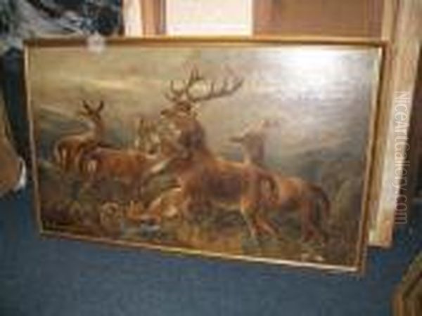 Stag And Hinds Oil Painting by Robert Cleminson