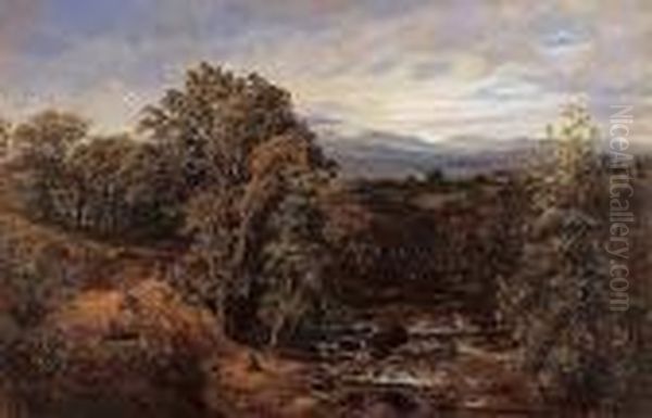 Near Dolgelly, North Wales Oil Painting by George Vicat Cole