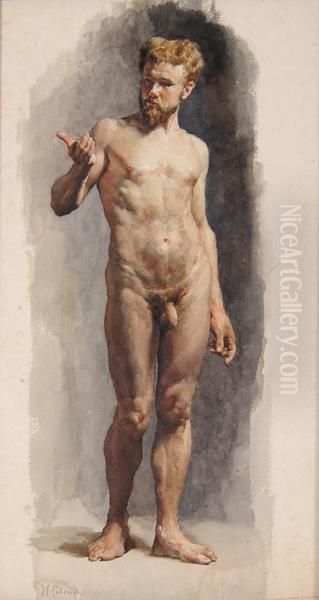 Nudo Maschile Oil Painting by Enrico Coleman