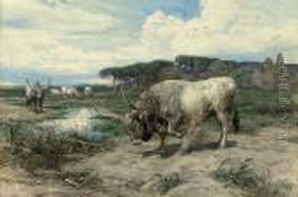 Long-horned Cattle In The Roman Campagna Oil Painting by Enrico Coleman