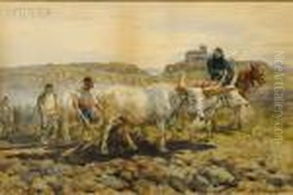 Oxen Team In The Countryside Oil Painting by Enrico Coleman