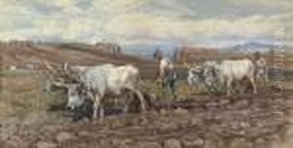 A Plough Team On The Roman Campagna Oil Painting by Enrico Coleman