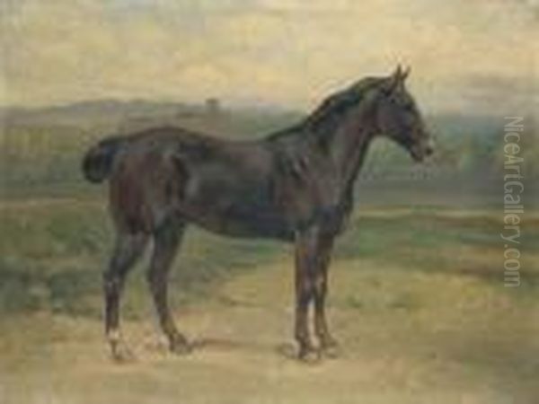 Cavallo Nel Paesaggio Oil Painting by Enrico Coleman