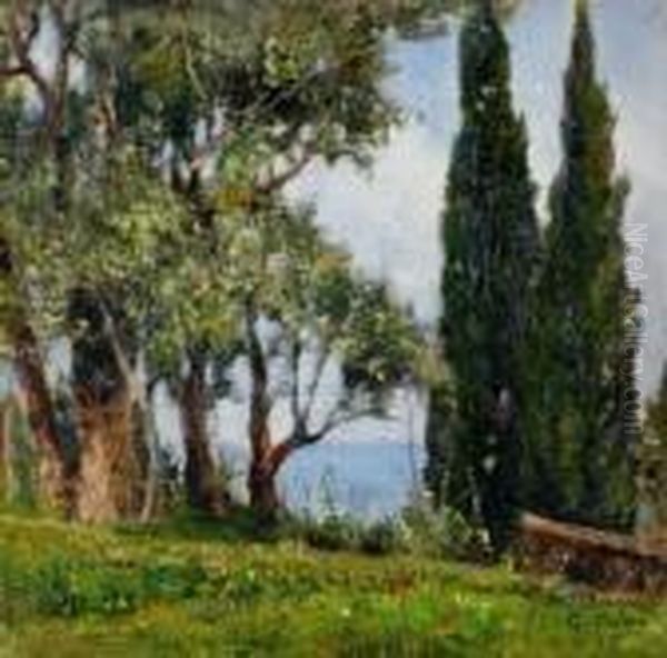 Paesaggio Ligure Oil Painting by Giovanni Colmo