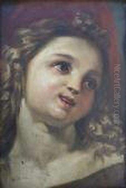 Head Of A Female Figure Oil Painting by Sebastiano Conca