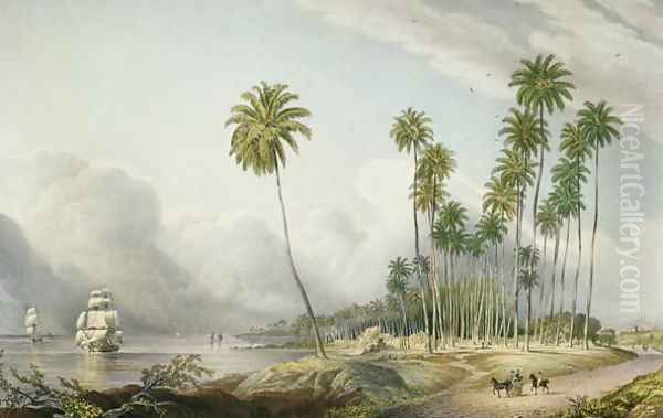 Cocoa Nut Walk on the Coast Near Runaway Bay Oil Painting by Joseph Bartholomew Kidd