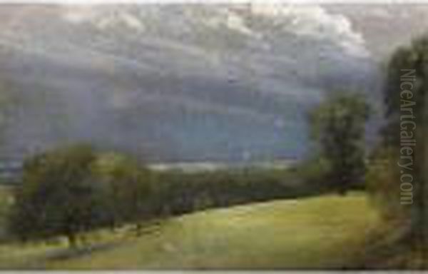 View Across The Lawn At West Lodge, Stratford St Mary, Near East Bergholt Oil Painting by John Constable