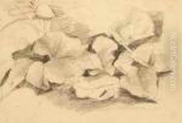 Leaf Study, Pencil, On Laid Paper, With Part Of Anunidentified Watermark, 9x14cm Oil Painting by John Constable