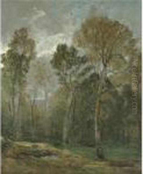 View Of A Copse Oil Painting by John Constable