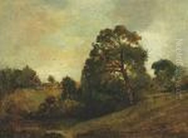 View Near Dedham, C.1803 Oil Painting by John Constable