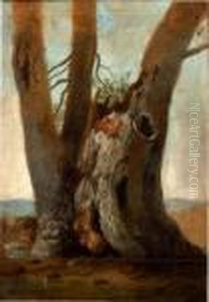 Etude D'arbre Oil Painting by Jean Antoine Constantin D'Aix