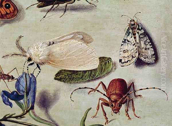 Still life detail of insects Oil Painting by Ferdinand van Kessel