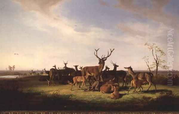 A Herd of Deer in a Sunlit Pasture Oil Painting by Theodor Julius Kiellerup