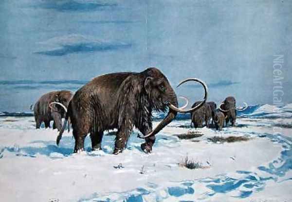 Troop of mammoths in the Ice Age Oil Painting by Wilhelm Kuhnert