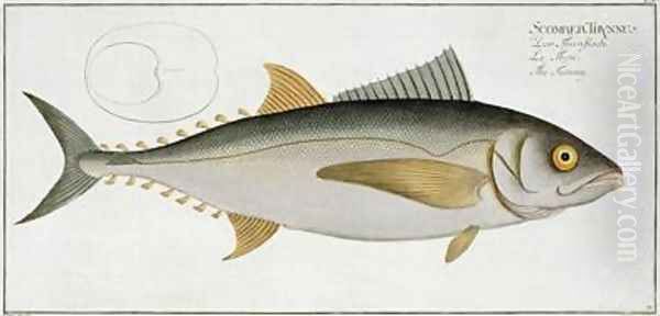 Tuna Scomber Thynnus Oil Painting by Andreas-Ludwig Kruger