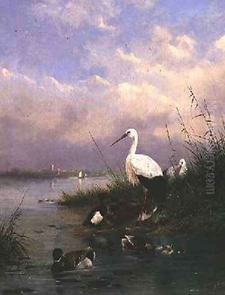 A family of Mallard two Storks and a family of Tufted Ducks Oil Painting by Augustus Knip