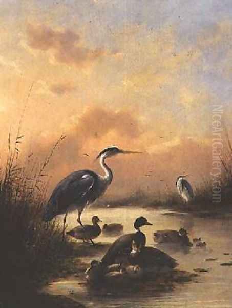 A family of Mallard and two Herons Oil Painting by Augustus Knip