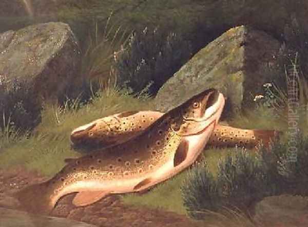 Brown Trout Oil Painting by A. Roland Knight