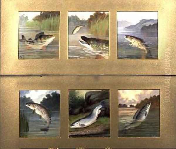 Selection of Fish Paintings Oil Painting by A. Roland Knight