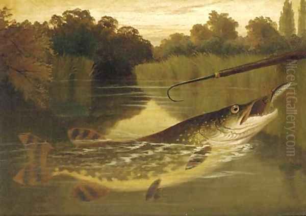 A pike coming to the gaff Oil Painting by A. Roland Knight