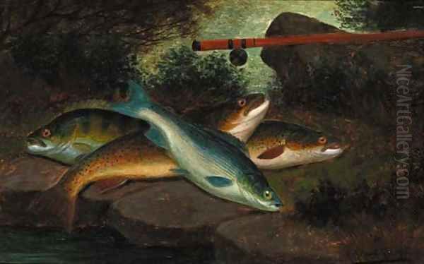 A trout, grayling and a perch Oil Painting by A. Roland Knight