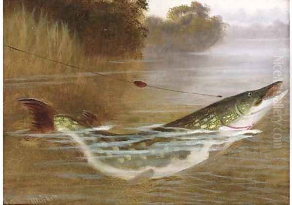 A hooked pike Oil Painting by A. Roland Knight