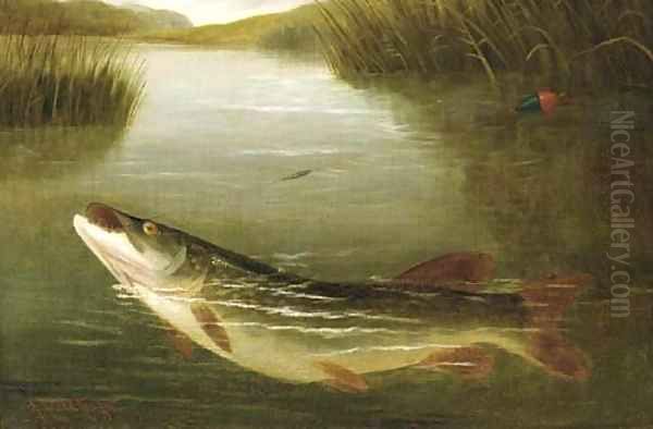 A pike on a line Oil Painting by A. Roland Knight